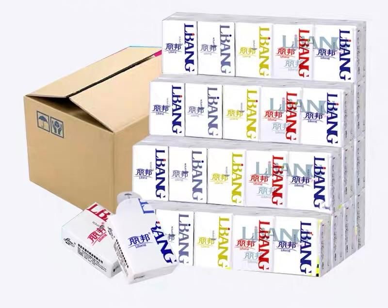 Салфетки сухие карманыe LIBANG трехслойные 24 салфетки